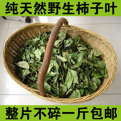 野生纯天然新鲜柿叶茶一斤包邮