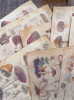 手工染纸植物蘑菇图鉴 JunkJournal手帐扎包美谷装饰背景素材纸
