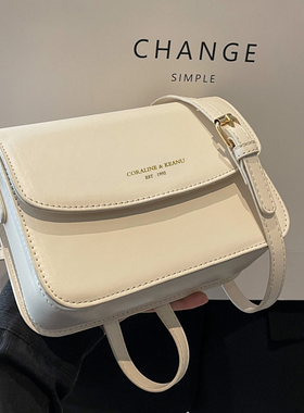 今年流行的小方包2024新款高级感洋气小包包女百搭质感单肩斜挎包