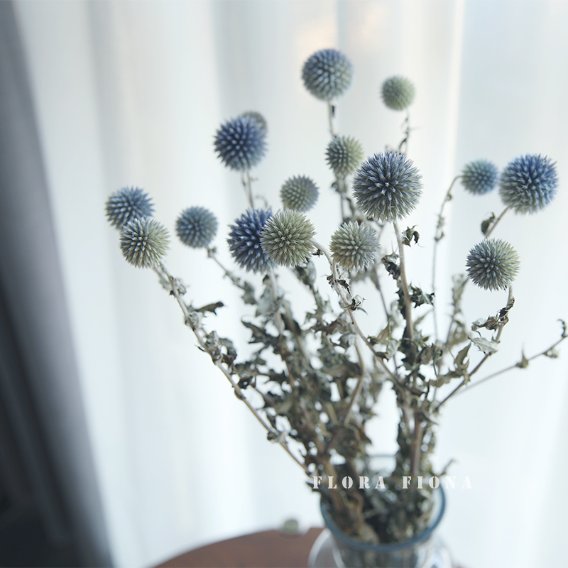 天然干花北欧进口森系文艺星球