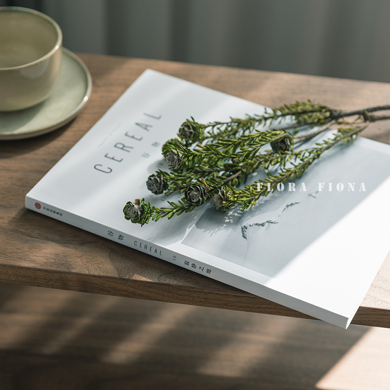 进口植物餐桌会所橱窗阳光干花