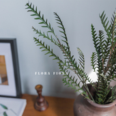 天然干花森系复古样板间装 饰品摆设相框花环花材干树枝永生羊齿叶