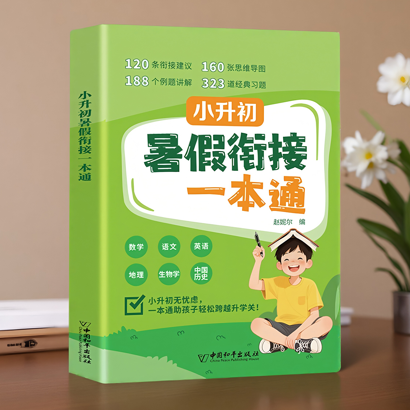 小升初暑假衔接一本通人教版