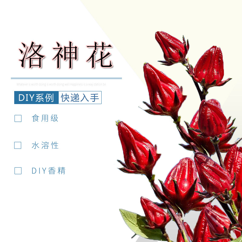 洛神花水溶性多用途DIY食品级浓郁持久‌香精香薰香料液体香料,洗护清洁剂/卫生巾/纸/香薰,香薰香料,淘宝优惠券,粉丝福利购,淘宝优惠卷