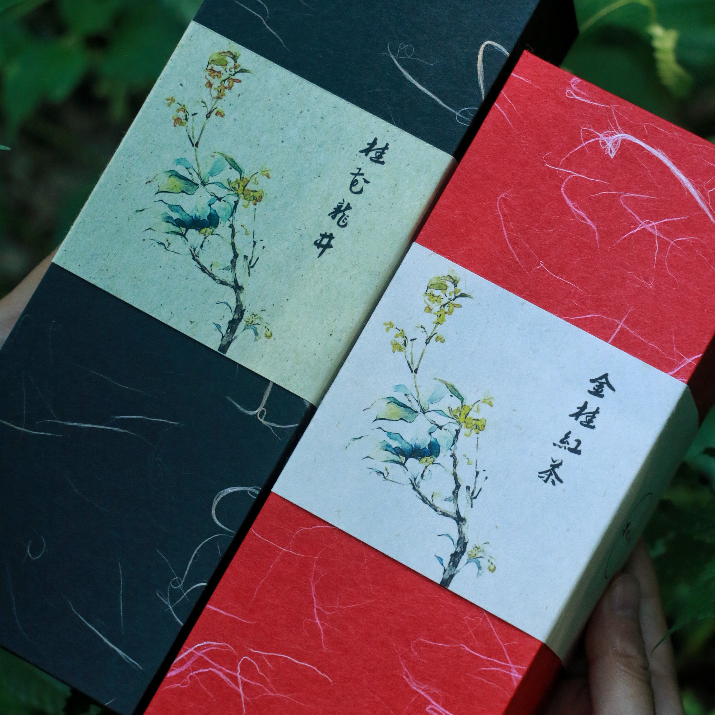 【福庆叔叔】桂花龙井有机种植图片