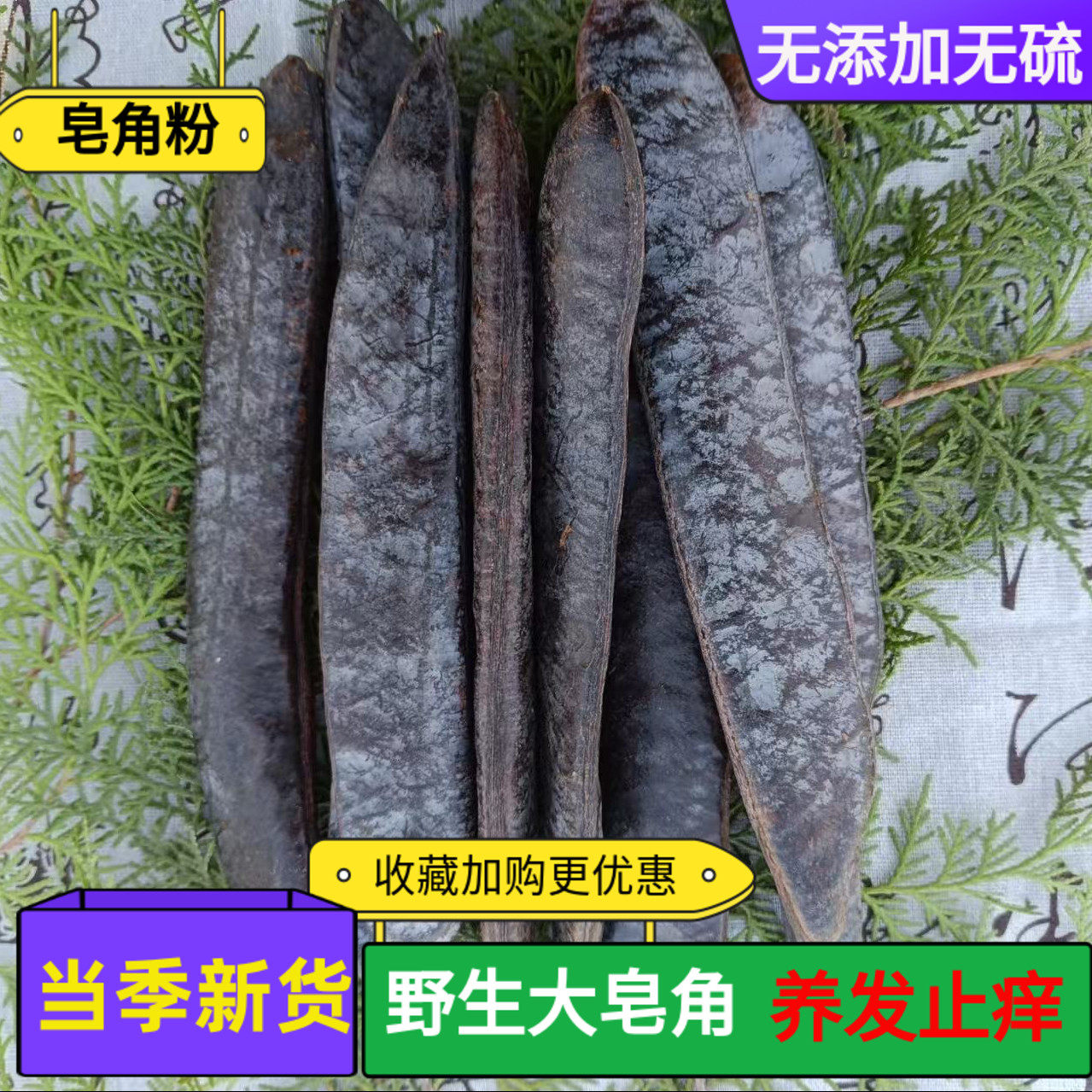新货皂角 大皂角 野生皂荚 天