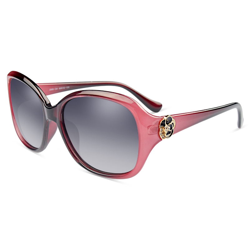 思尔博 太阳眼镜女大框墨镜偏光镜潮人太阳镜女士驾驶镜 2014新款