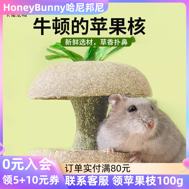 仓鼠苹果核磨牙棒卡诺食磨牙玩具