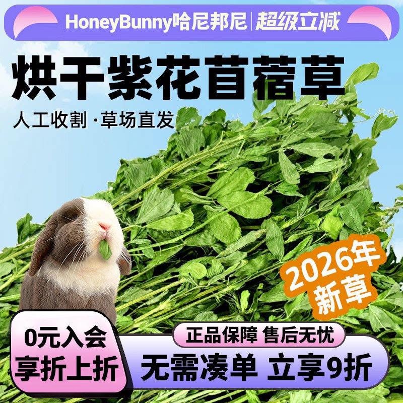 26年烘干苜蓿草干草兔子头茬新草龙猫荷兰猪幼兔紫花苜蓿草干牧草
