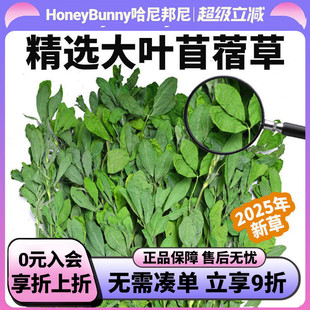 25年烘干苜蓿草干草幼兔子龙猫牧草紫花苜蓿草粮草兔粮草兔子用品