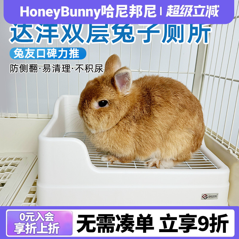 达洋新款兔子厕所防掀翻双扣固定