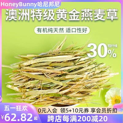 黄金燕麦草干草手挑兔子食用草