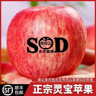 2025新鲜水果红富士苹果脆甜多汁灵宝寺河山SOD富硒苹果送人礼盒