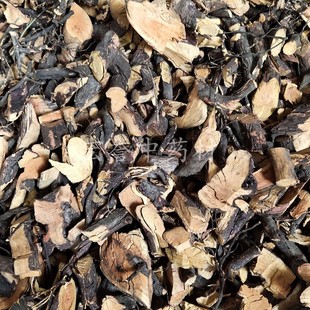 铁包金 500g包邮 小叶铁包金 老鼠耳 乌龙根 老鼠草 生藤根广西