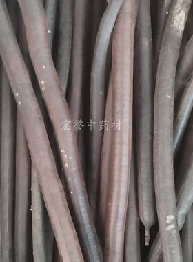 大解果 缅甸便秘果腊肠树果奇异果纯植物的茶 500克