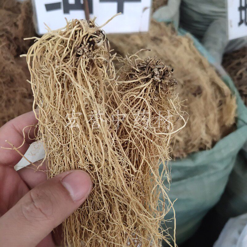 细辛 500克包邮水洗辽细辛根中药材 北细辛根小辛独叶草 细草精选