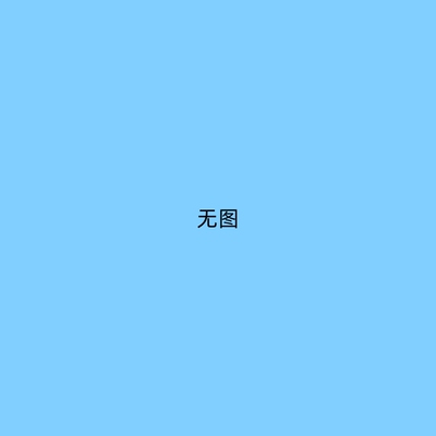 汽车挂饰