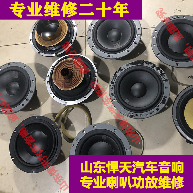 专业维修保养丹拿372272喇叭