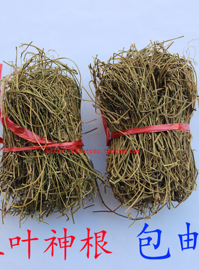 五叶神汤料煲汤草五叶神草五叶神茎根梅州客家土特产干货包邮