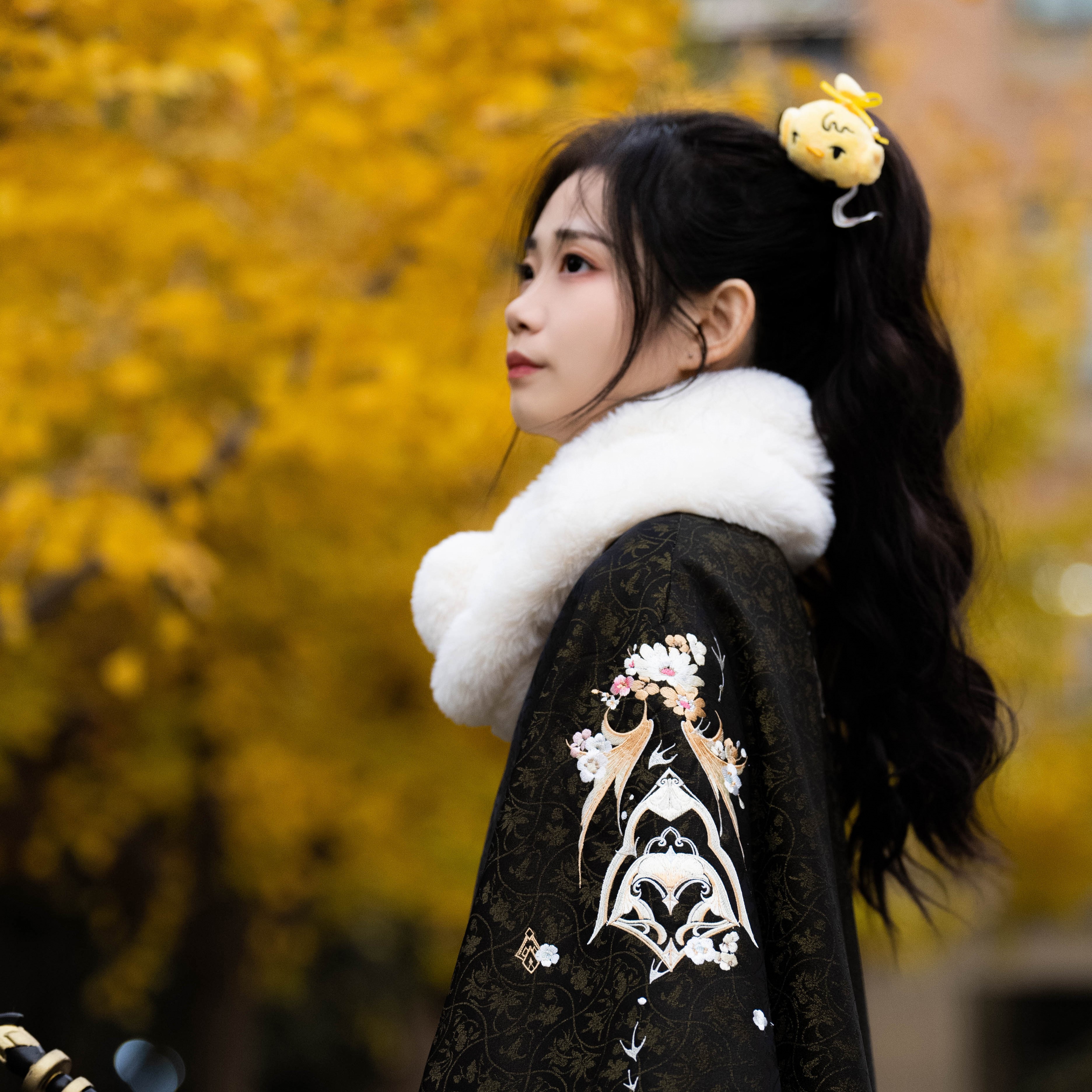 天风观澜 | 凤翥斋×剑网3正版同人授权藏剑门派印象汉斗篷马面裙