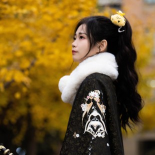 天风观澜 同人授权藏剑门派印象汉斗篷马面裙 凤翥斋×剑网3正版