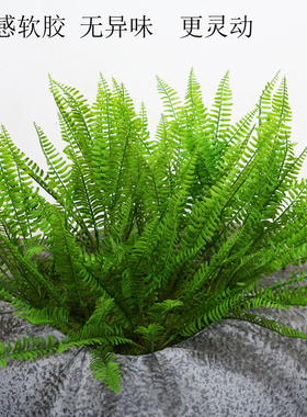 仿真波斯叶仿生蕨类植物手感软胶肾蕨铁线蕨造景绿植热带森林