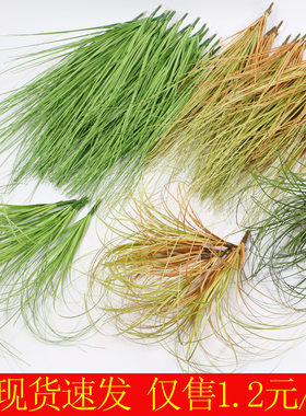 仿真洋葱草芦苇草狗尾草蒲草假草植物景观塑料小草假芦苇草毛毛草