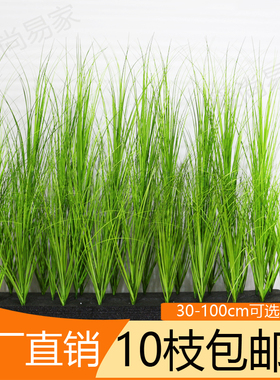 仿真蒲苇草洋葱草pvc芦苇草仿真花单枝小草野草仿真草狗尾巴草