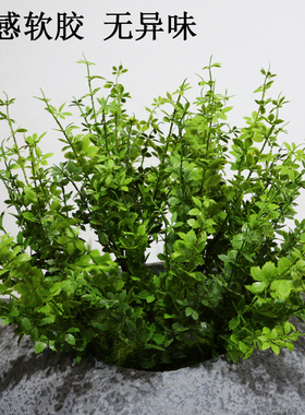 仿真羊齿叶仿生蕨类植物绿植天门冬狼尾蕨波斯叶塑料假花装饰绿植