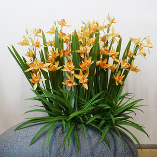 高档仿真兰花带叶子蕙兰慧兰高档假花单枝万代兰线条花材建兰剑兰