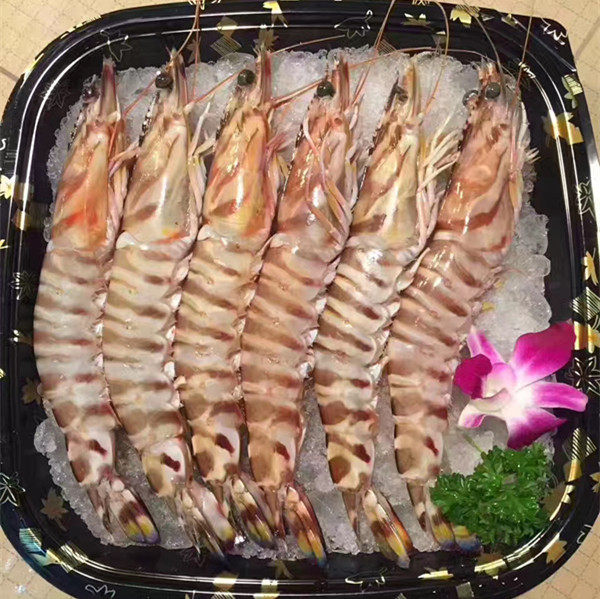 新鲜大对虾 九节虾 海捕野生对虾 3头6头大虾 斑节虾 海虾