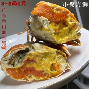 鲜活油膏蟹 广东台山海鲜非黄油蟹 青蟹 全母膏蟹带黄膏油1斤
