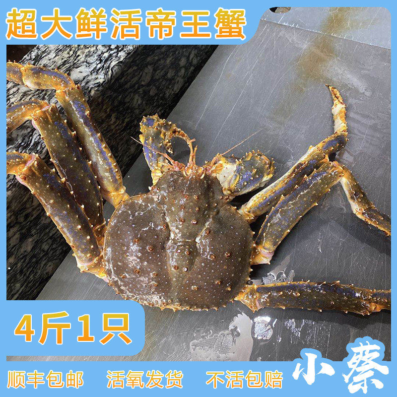 鲜活阿拉斯加帝王蟹澳洲龙虾超特大帝王蟹皇帝蟹长脚蟹雪蟹4斤1只