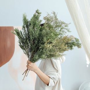 千层金黄金香柳 饰壁挂干草diy花材 天然绿色干花真花叶子北欧风装