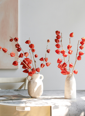 天然酸浆果干花真花红色氛围感酒店大堂家居插花餐桌摆件灯笼果子