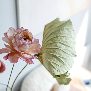 高级重瓣荷花莲蓬莲花干花真花风干天然客厅装 饰禅意摆件轻奢高档