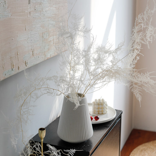 天然文竹永生花装饰品干花插花
