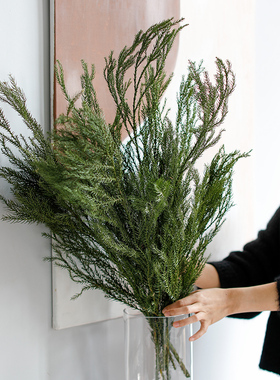 北欧天然绿色干花真花树枝装饰干枝圣诞花环手工制作材料天竺少女