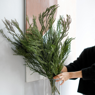 北欧天然绿色干花真花树枝装 饰干枝圣诞花环手工制作材料天竺少女