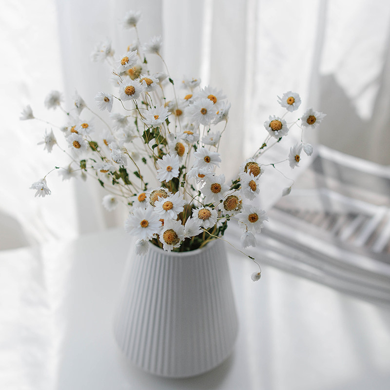 鲁丹鸟 迷你白色小雏菊干花风干花束真花ins网红店橱窗装饰罗丹斯