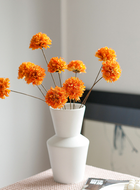 北欧小清新天然八角花绣球干花创意装饰插花客厅家居摆设手工花球