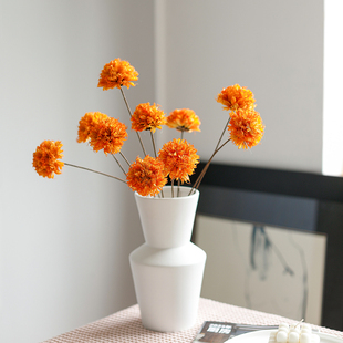 北欧小清新天然八角花绣球干花创意装 饰插花客厅家居摆设手工花球