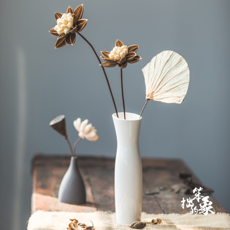 笨拙的象天然植物创意花艺手工装饰花落地仿真花假花大荷花蝶莲花