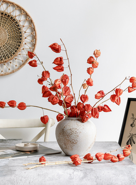 灯笼果干花束真花喜庆红果子植物果实插花设计花艺摆件进口酸浆果