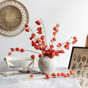 灯笼果干花束真花喜庆红果子植物果实插花设计花艺摆件进口酸浆果