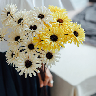 芝麻花太阳花干花文艺小清新插花室内摆设橱窗道具禅意摆件小雏菊