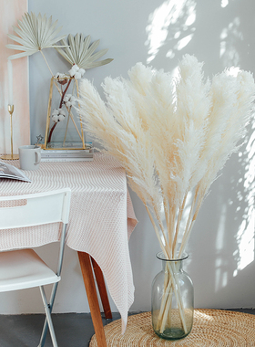 笨拙的象网红芦苇草干花花束白色橱窗植物造景客厅装饰摆件落地花