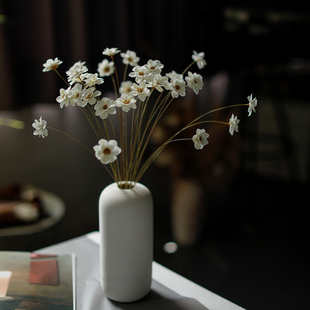 侘寂风手工干花海葵花小清新奶油风家居商业空间装 饰插花材小雏菊