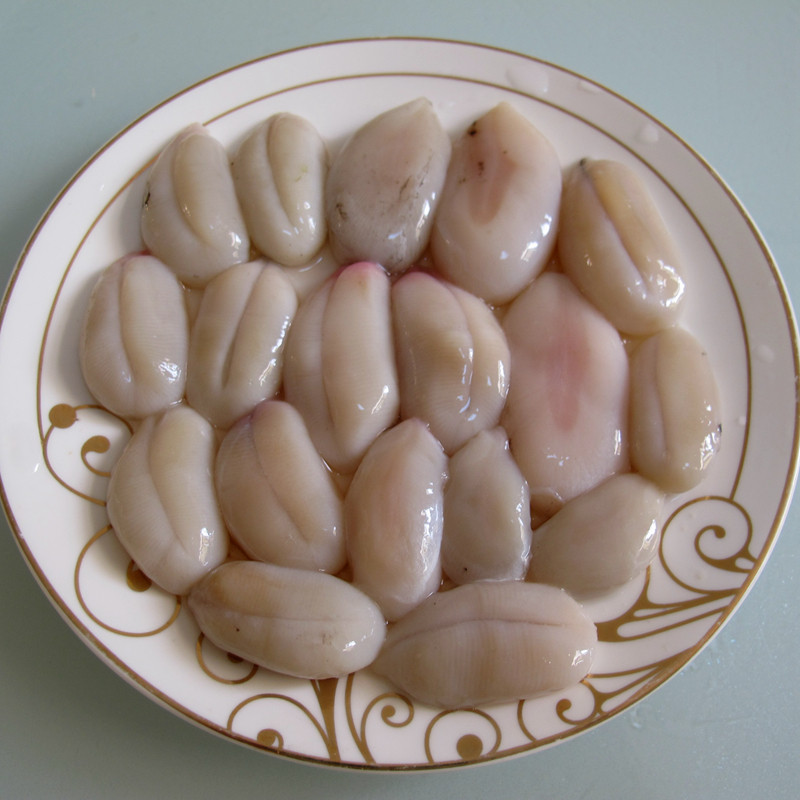 鲜墨鱼蛋乌鱼蛋乌贼蛋目鱼蛋海鲜美味（顺丰发货）