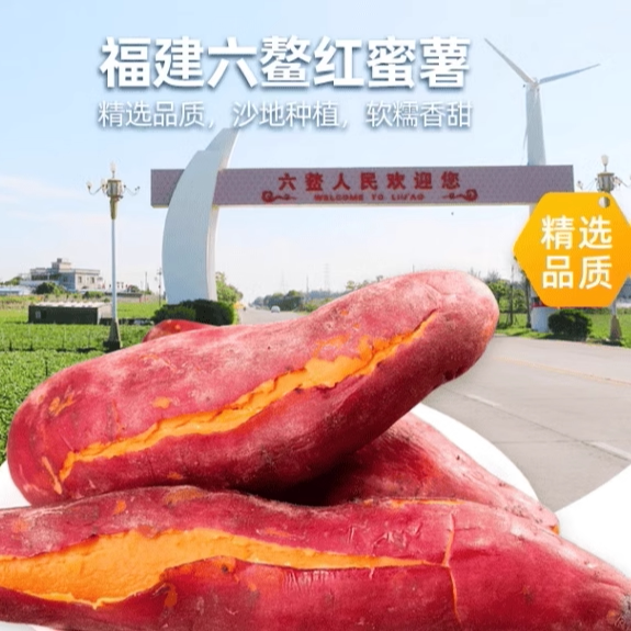 新鲜10斤农家自种六鳌番薯